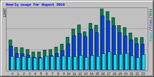Hourly usage for August 2016